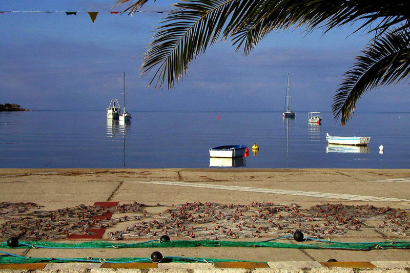 Isola di Pag, Croazia